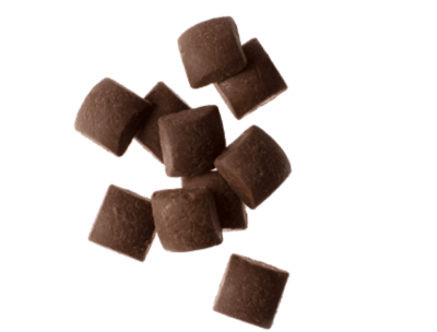 CBD Chocolate Bites | Happy Bears Edibles