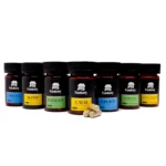 Fantasy Psychedelics – Microdose Capsules (4500mg)