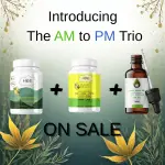 AM to PM Trio Bundle