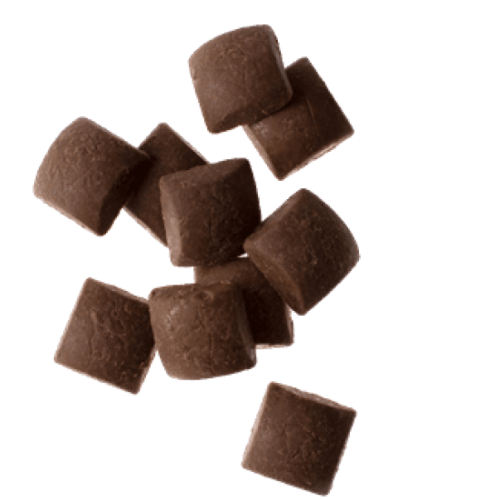 CBD Chocolate Bites | Happy Bears Edibles